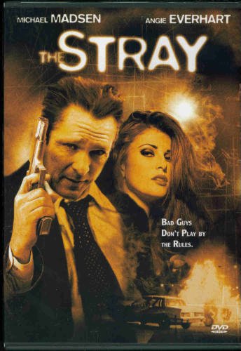 Stray/Madsen/Everhart/Lysenko@Clr@Nr